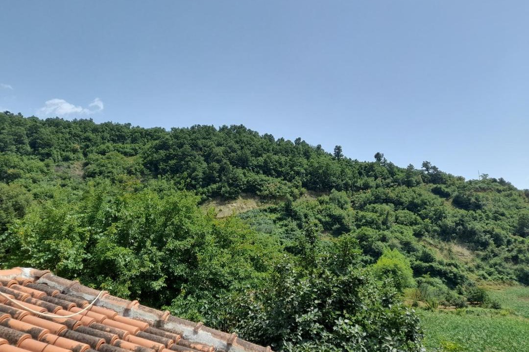 Photo of Others in Berat