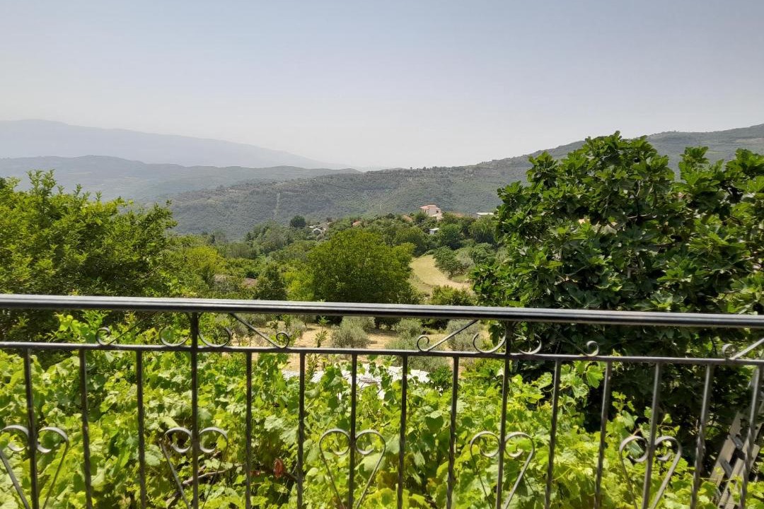 Photo of Others in Berat