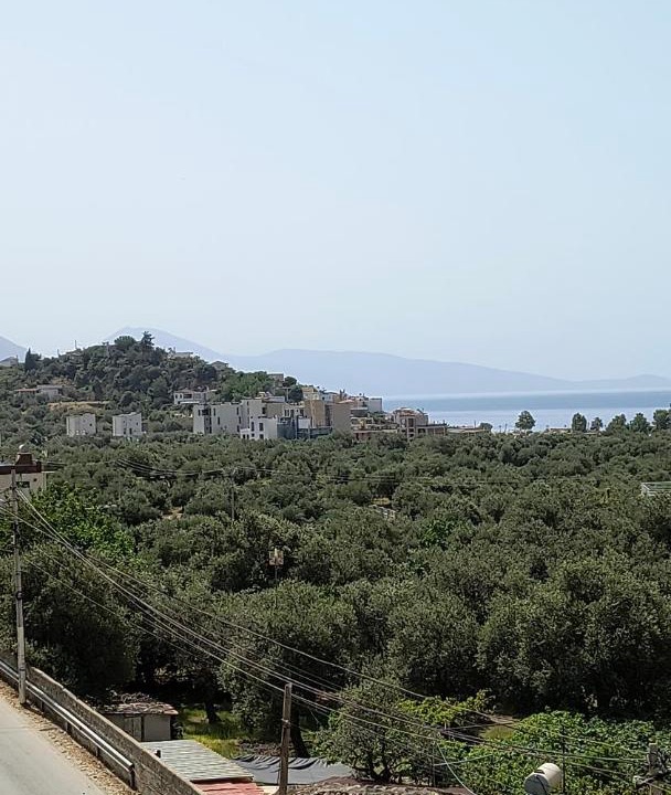 Photo of Others in Himare