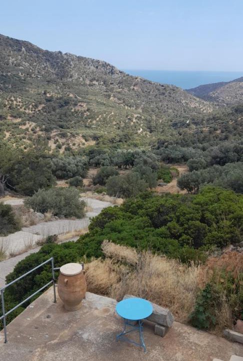 Photo of Others in Lapithos