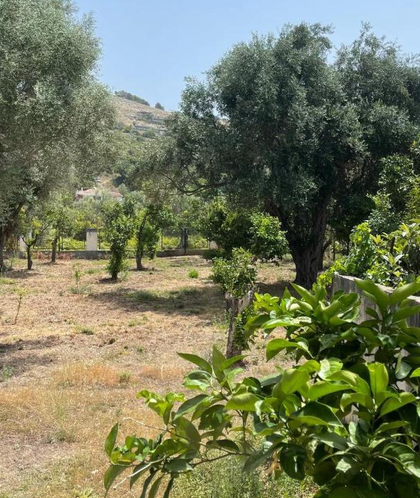 Photo of Others in Himare