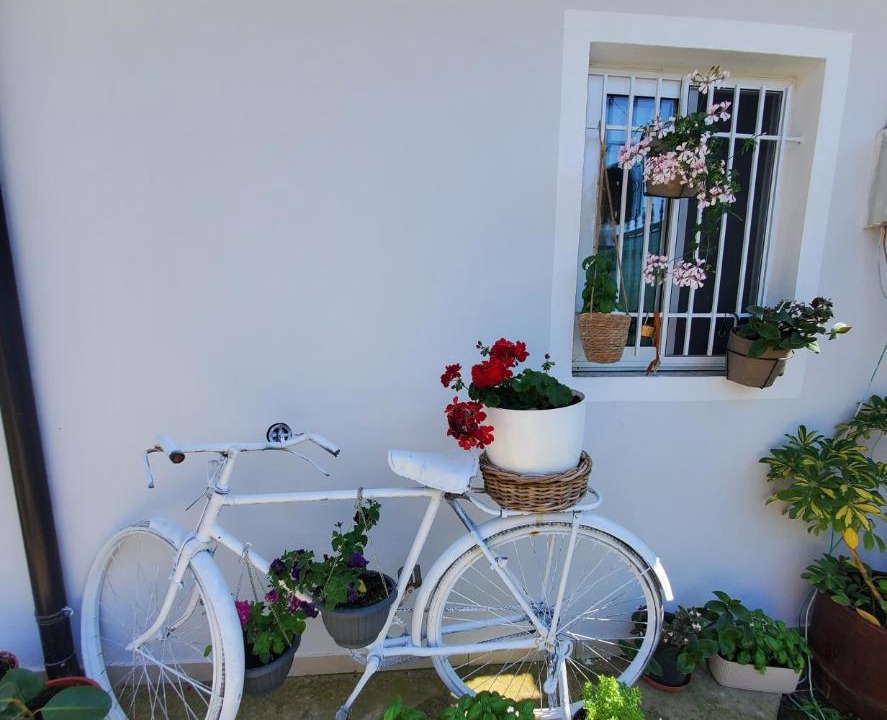 Photo of Others in Sakës