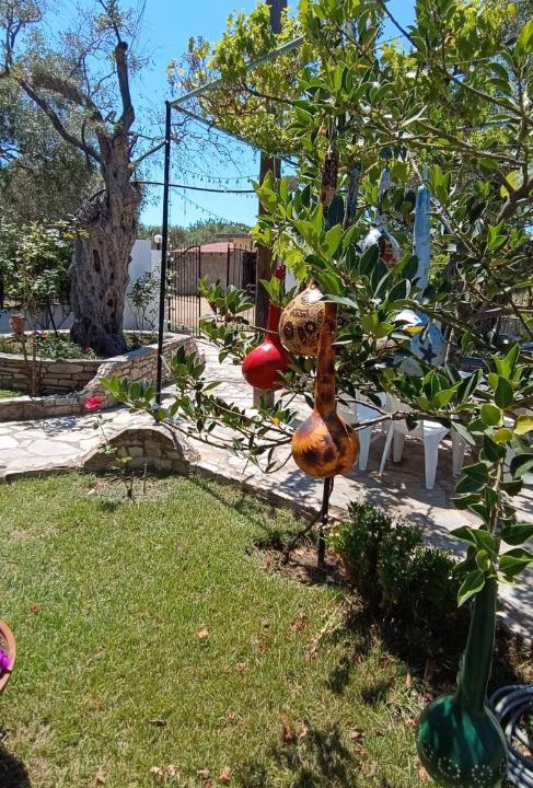 Photo of Outdoor in Megalos Prinos