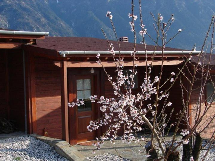 Photo of Others in Konitsa