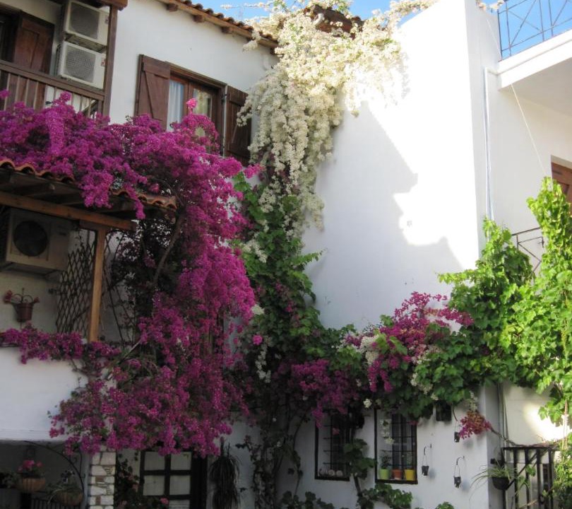Photo of Others in Skiathos Town