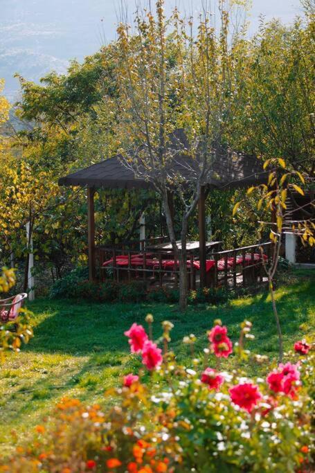 Photo of Outdoor in Diber