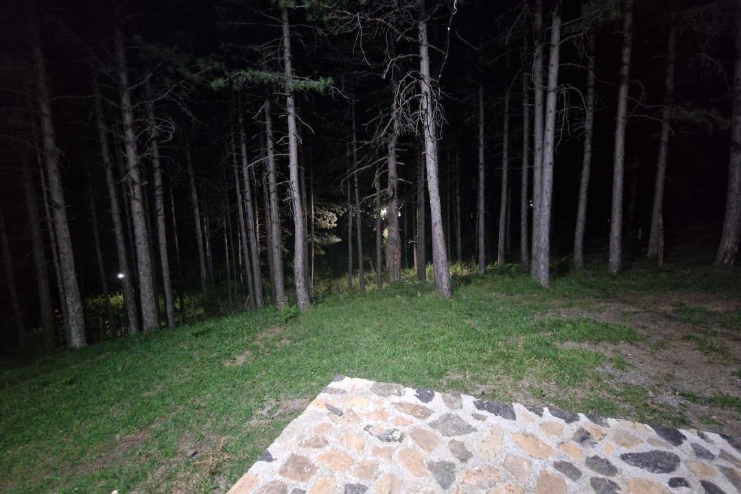 Photo of Others in Elbasan