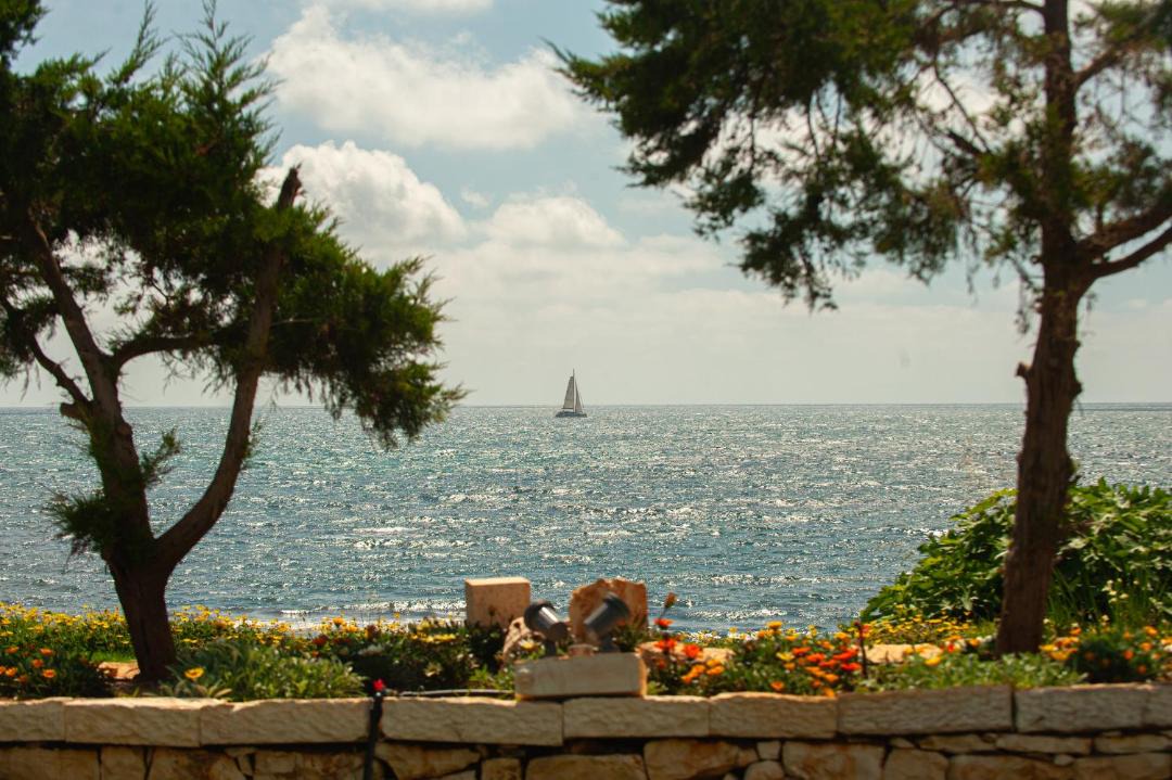 Photo of Others in Preveza