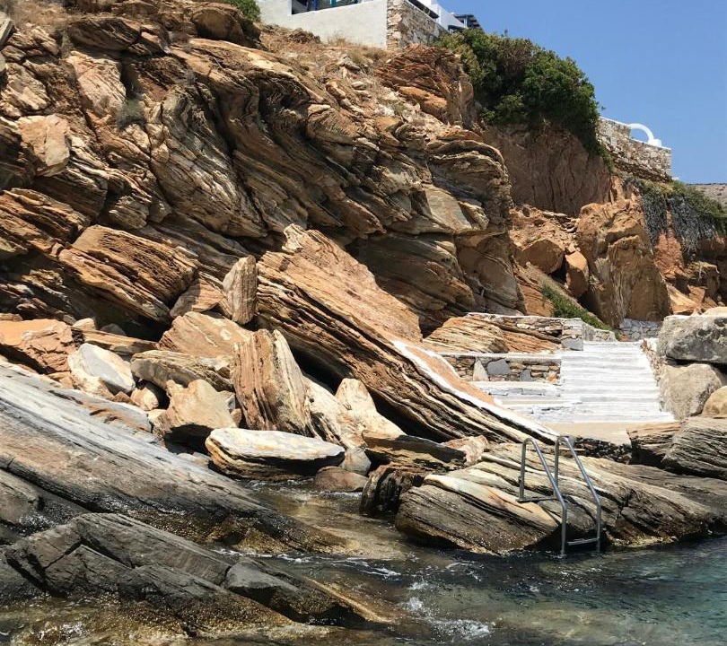Photo of Others in Alopronia