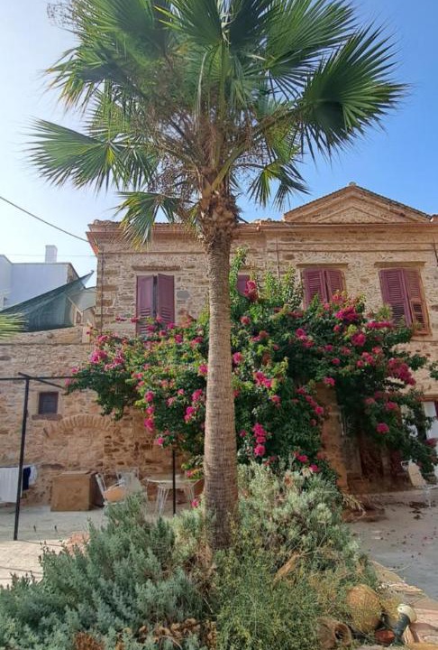 Photo of Others in Chios Town