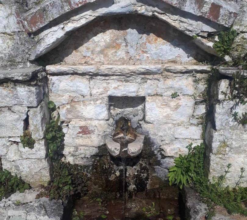 Photo of Others in Portaria