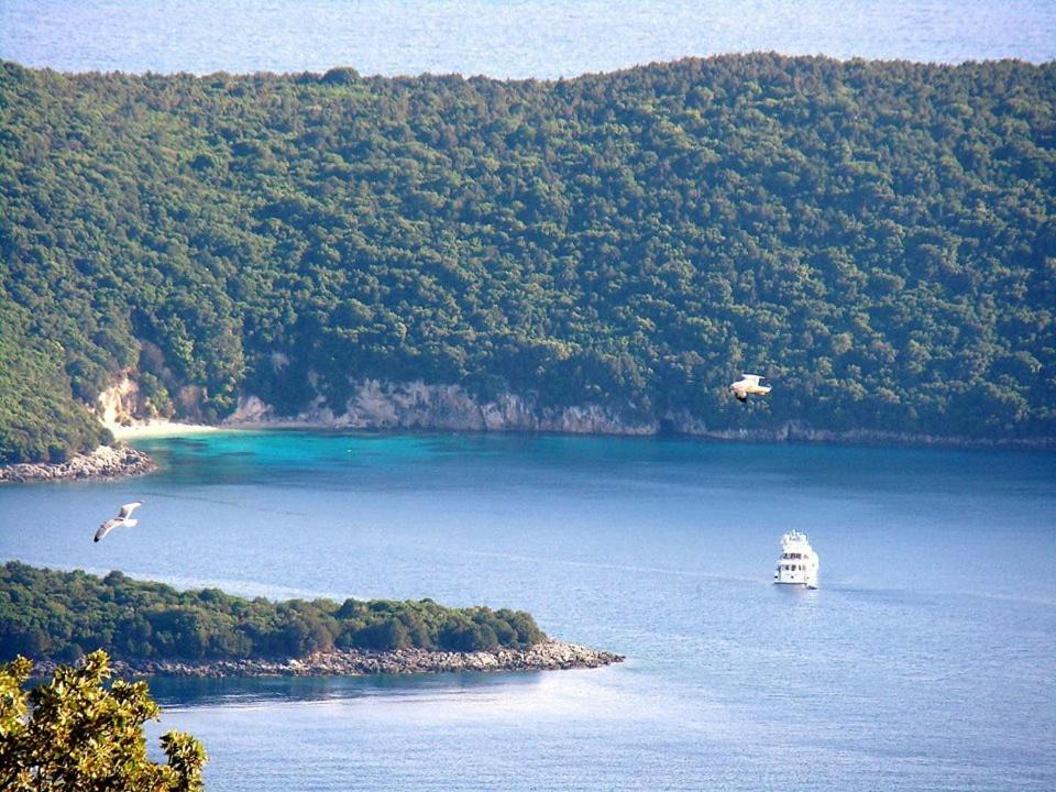 Photo of Others in Plataria