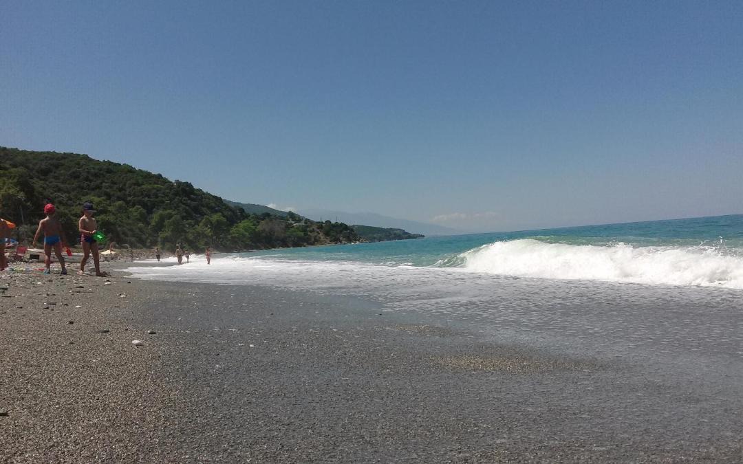 Photo of Others in Agia