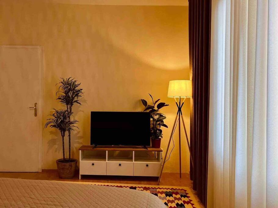 Photo of Others in Tirana