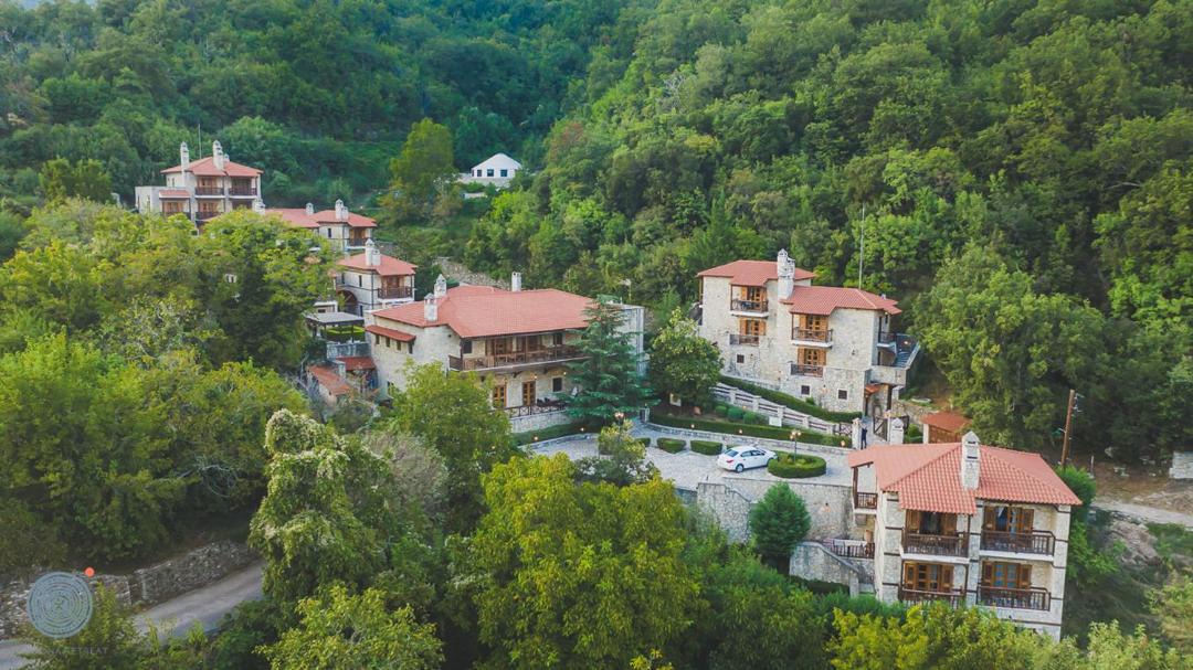 Photo of Others in Abeliona
