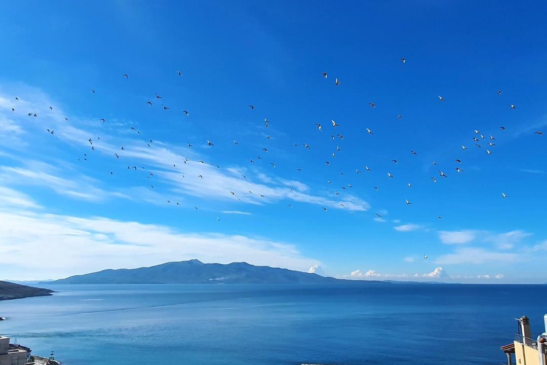 Photo of Others in Sarande