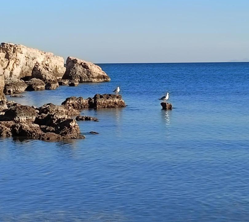 Photo of Others in Agia Marina