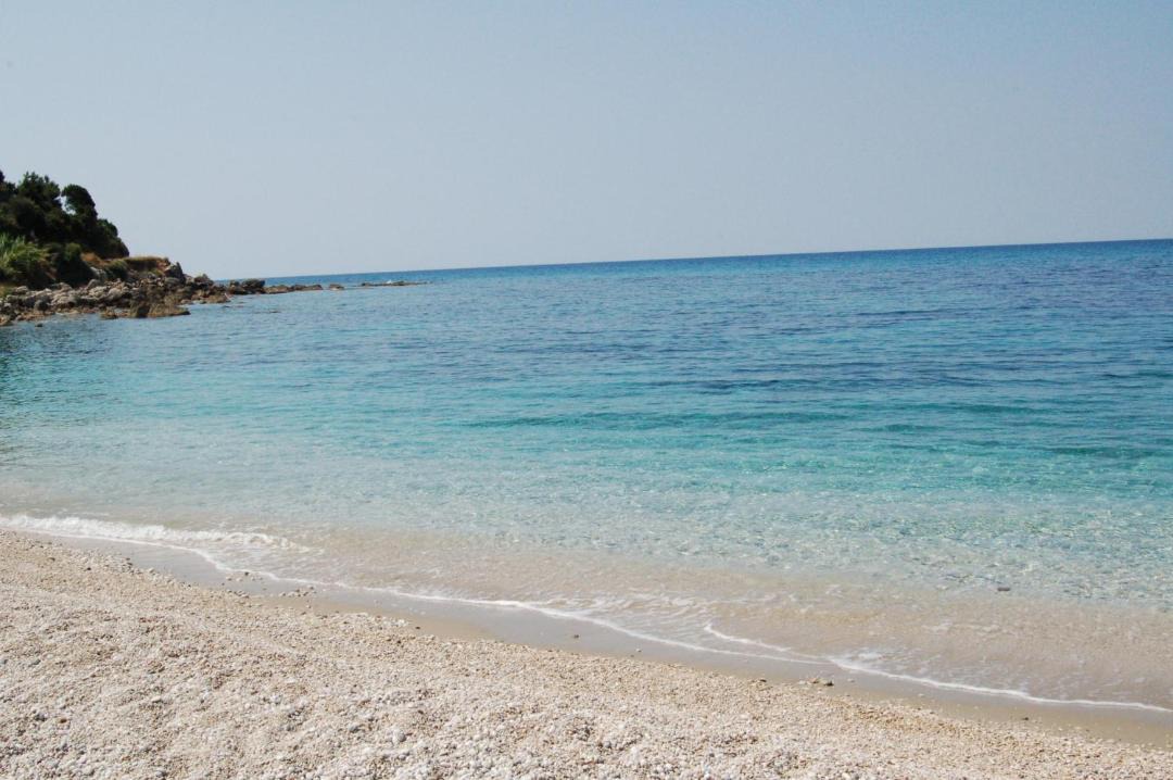 Photo of Others in Lygia