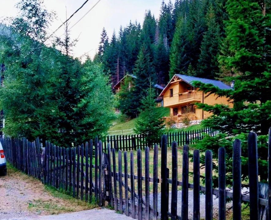 Photo of Others in Vitomiricë