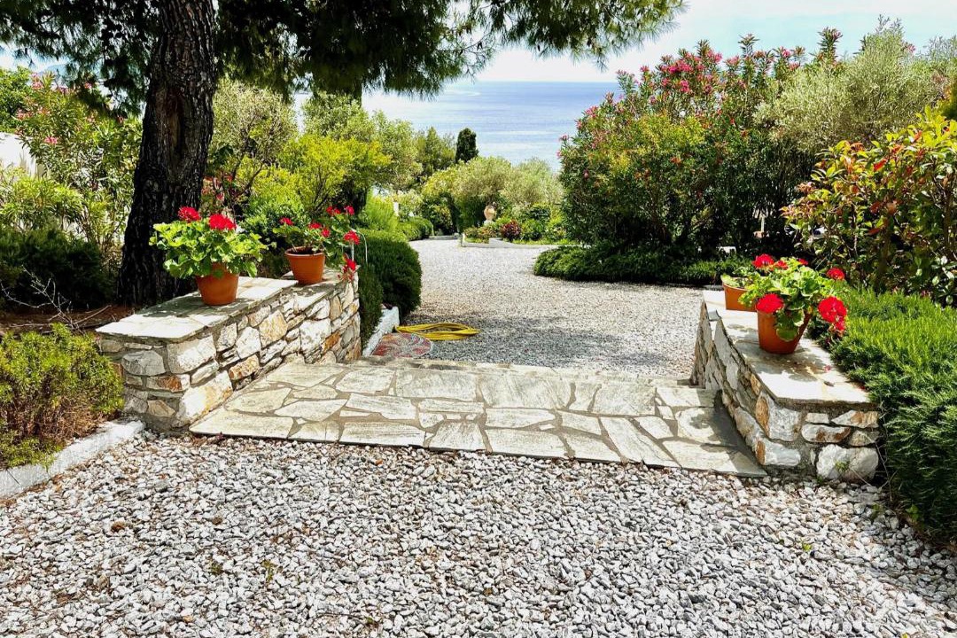 Photo of Others in Skiathos Town