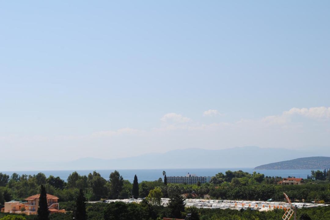Photo of Others in Drepano