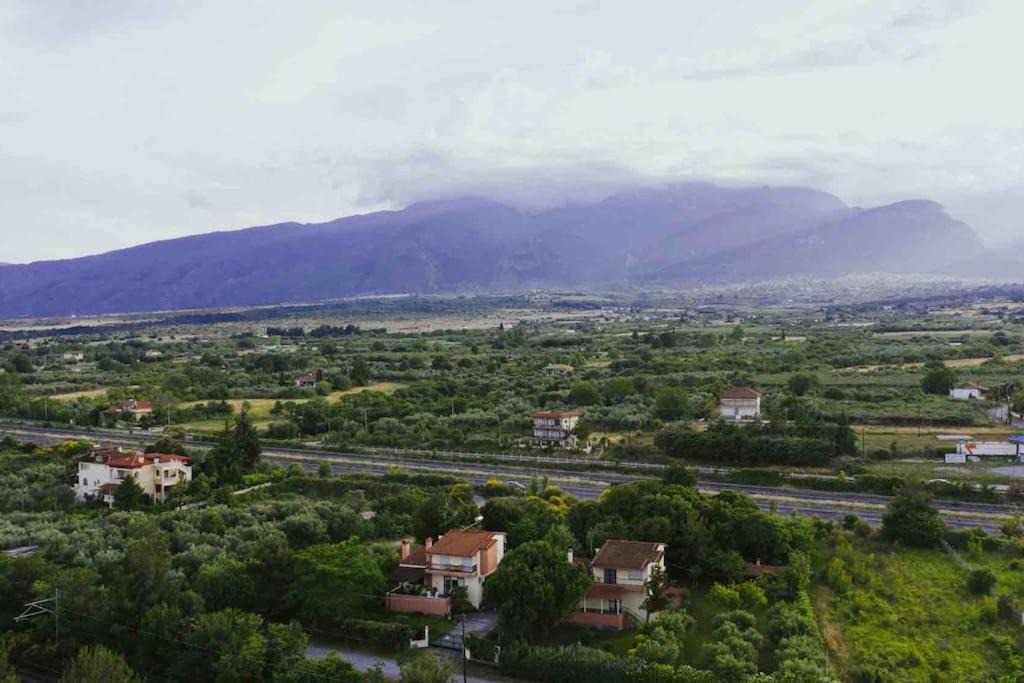 Photo of Others in Litochoro