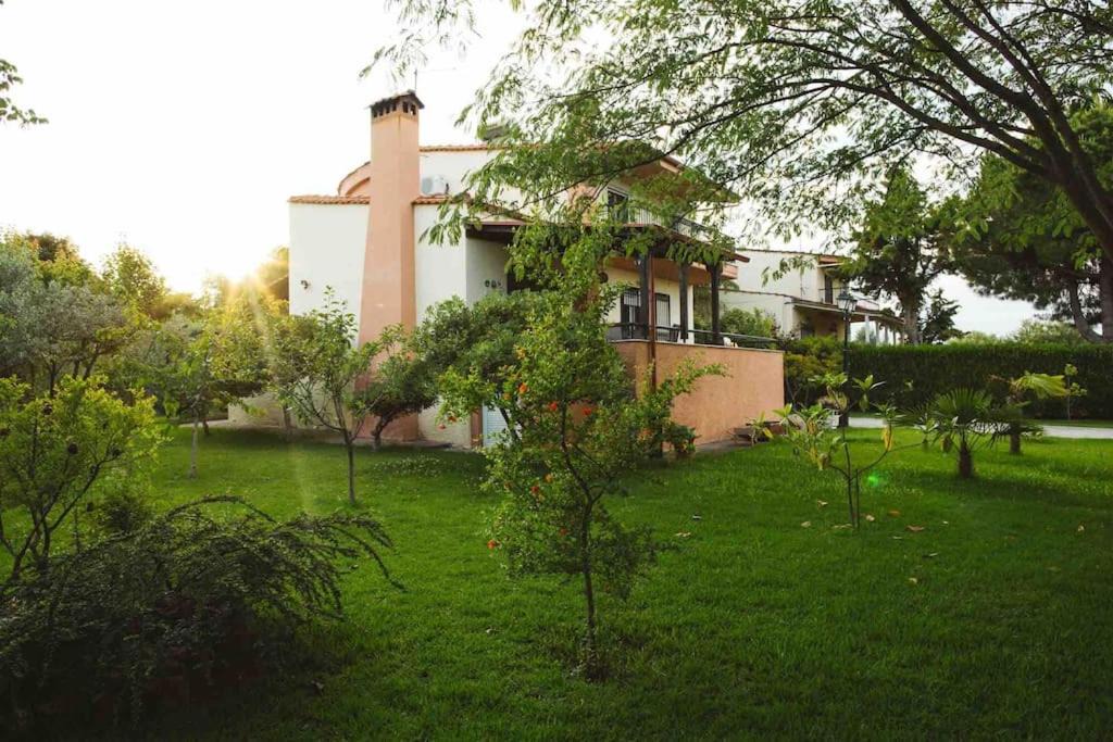 Photo of Others in Litochoro