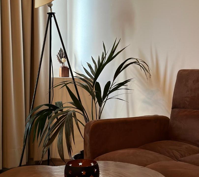 Photo of Livingroom in Permet