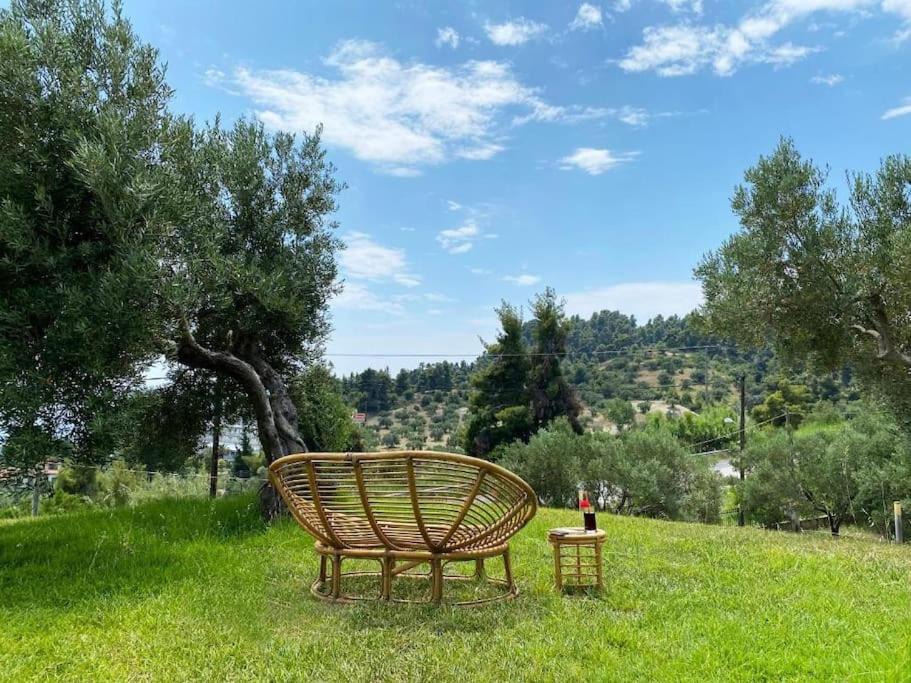 Photo of Others in Kassandra