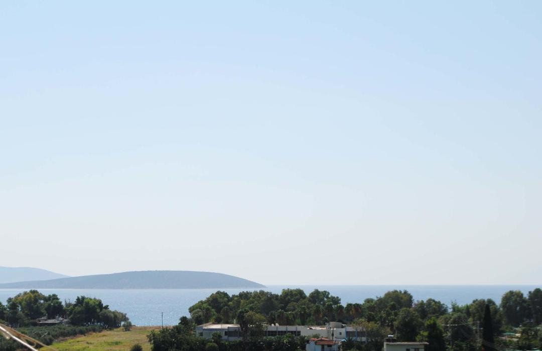 Photo of Others in Drepano