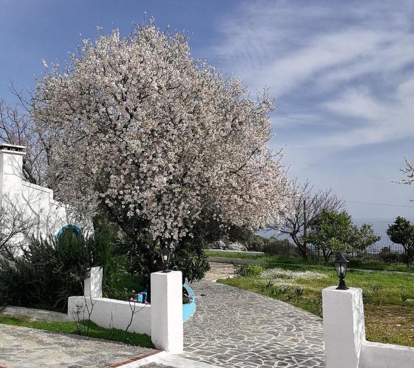Photo of Others in Limnionas