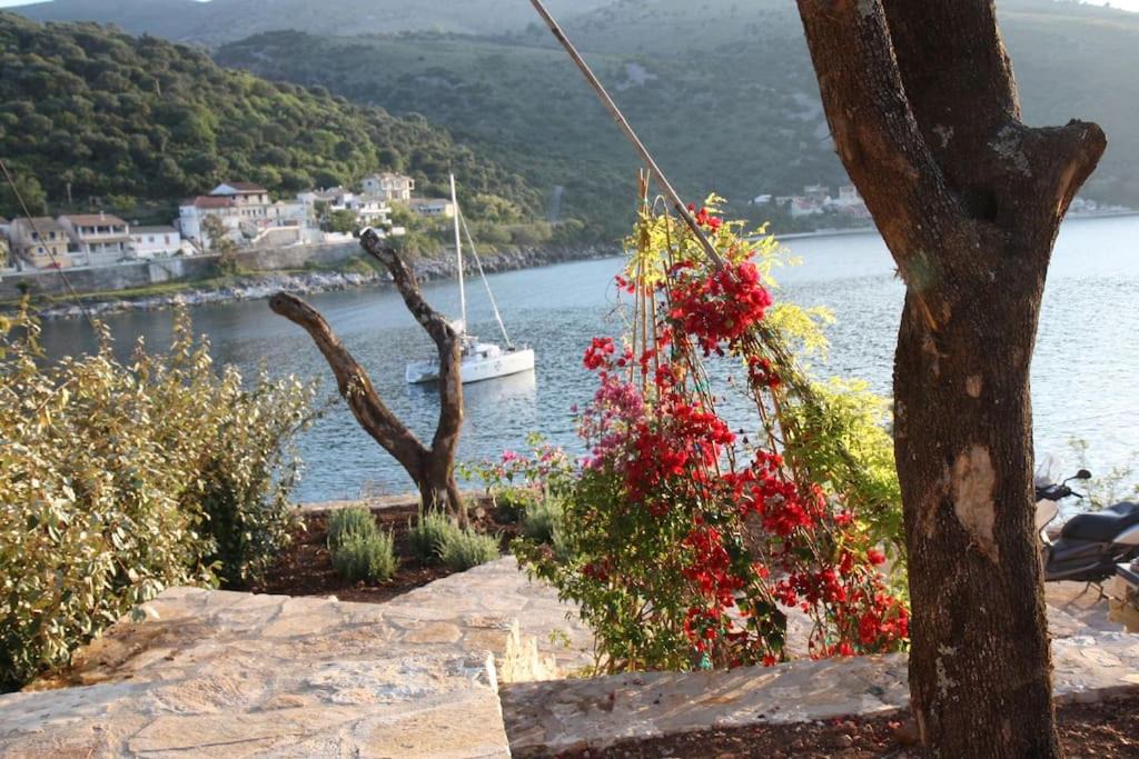 Photo of Others in Kassiopi