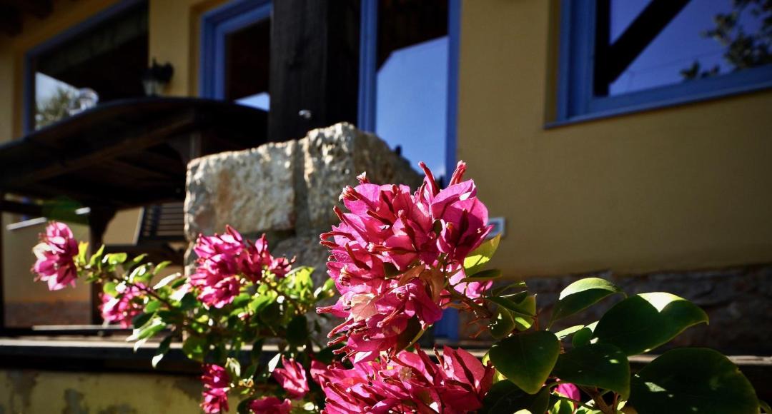 Photo of Others in Agios Nikolaos Town