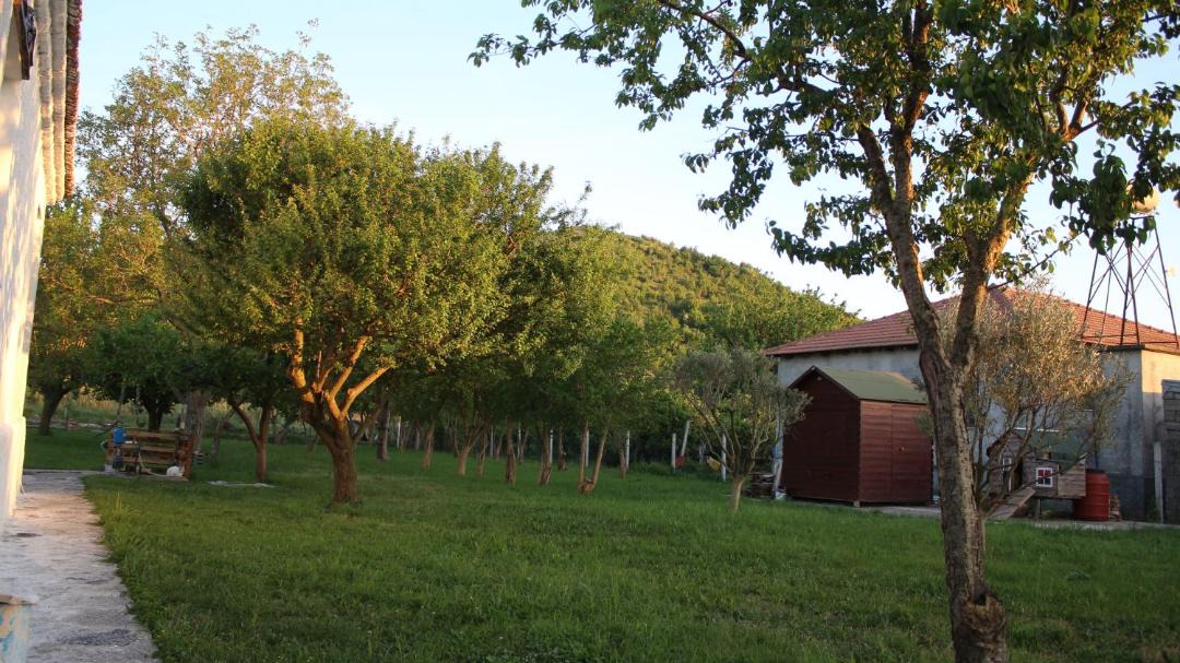 Photo of Others in Sakës