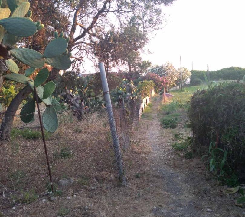 Photo of Others in Agios Gordios
