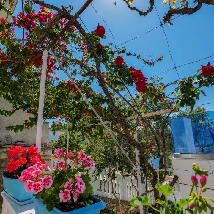 Photo of Others in Sarande