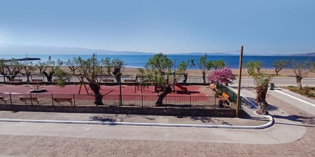 Photo of Others in Skala Kallonis