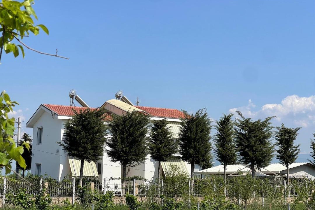 Photo of Others in Sakës
