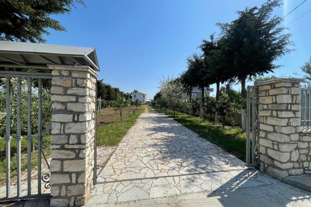 Photo of Others in Sakës