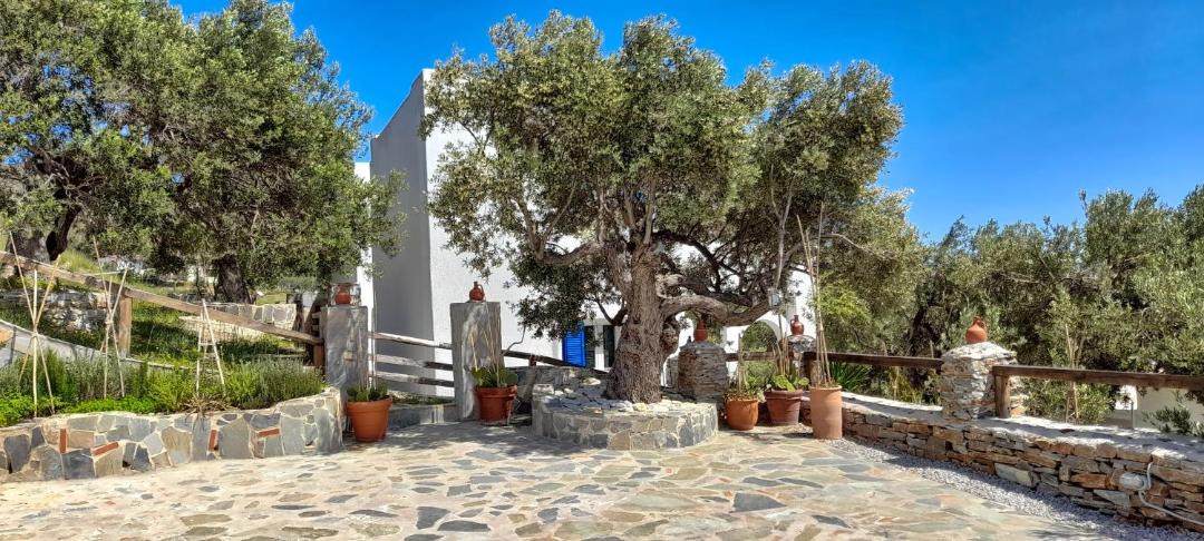 Photo of Others in Karystos