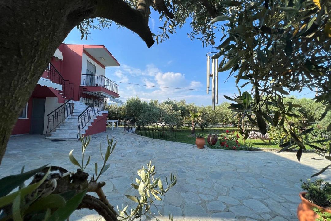 Photo of Others in Pangaio