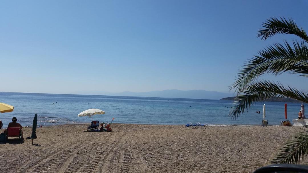 Photo of Others in Drepano