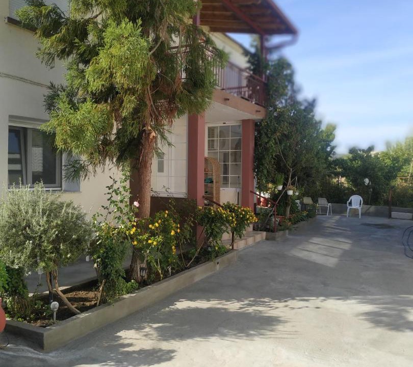 Photo of Others in Pangaio