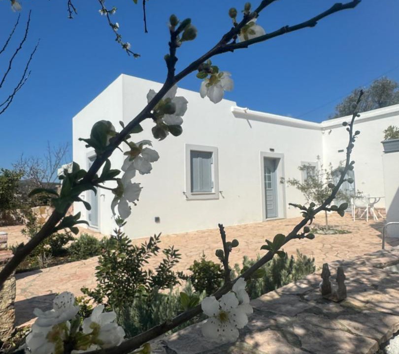 Photo of Others in Kithira