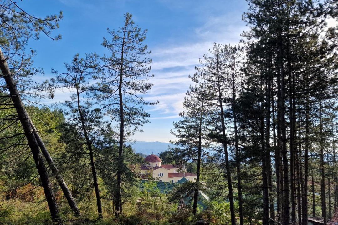 Photo of Others in Elbasan