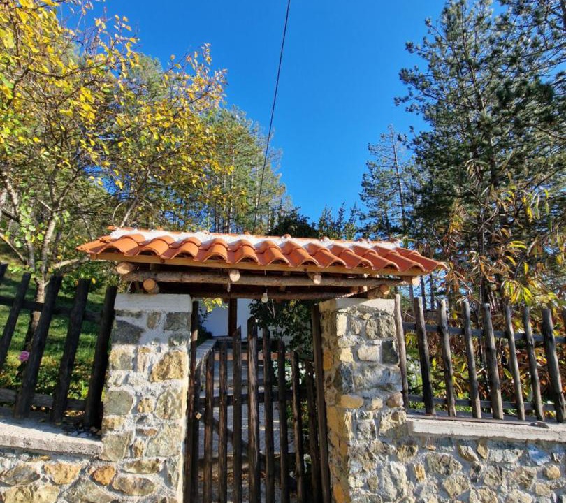 Photo of Others in Elbasan