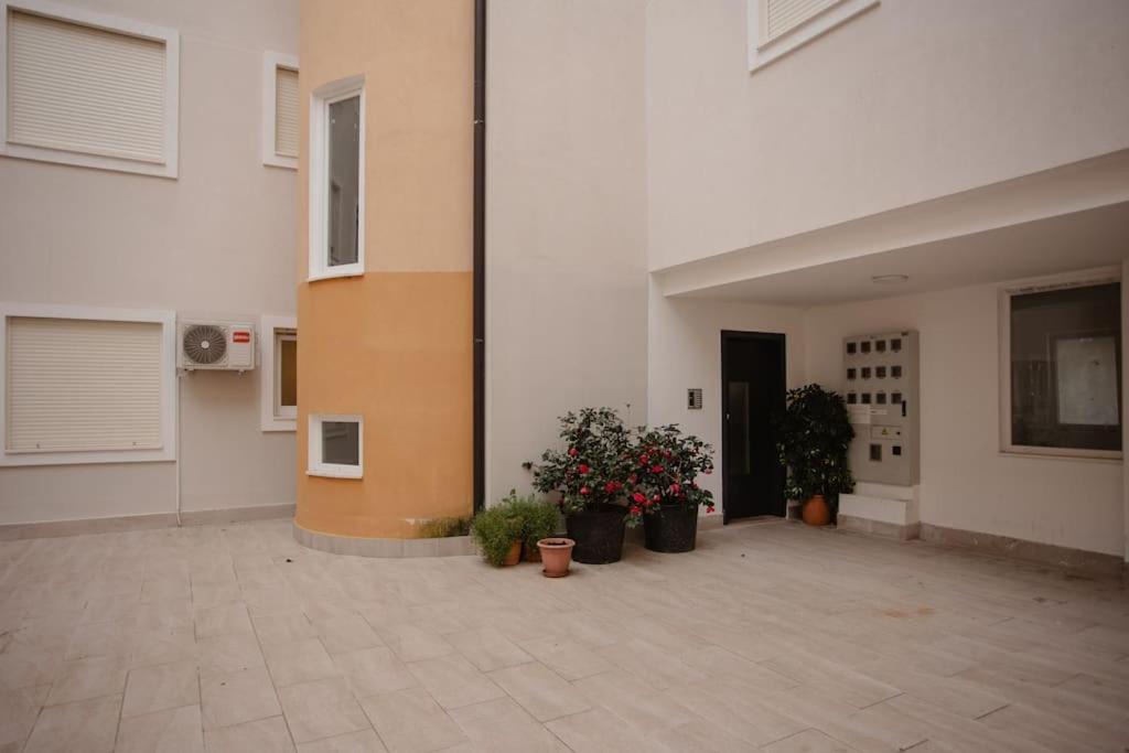 Photo of Others in Shkoder