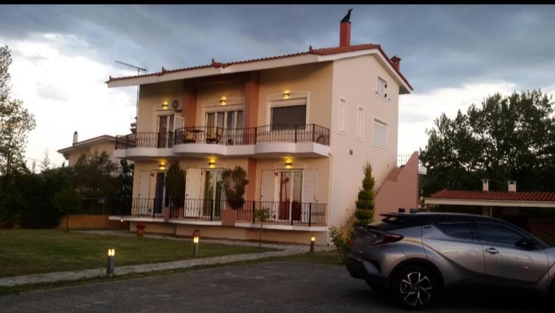 Photo of Others in Artemisio