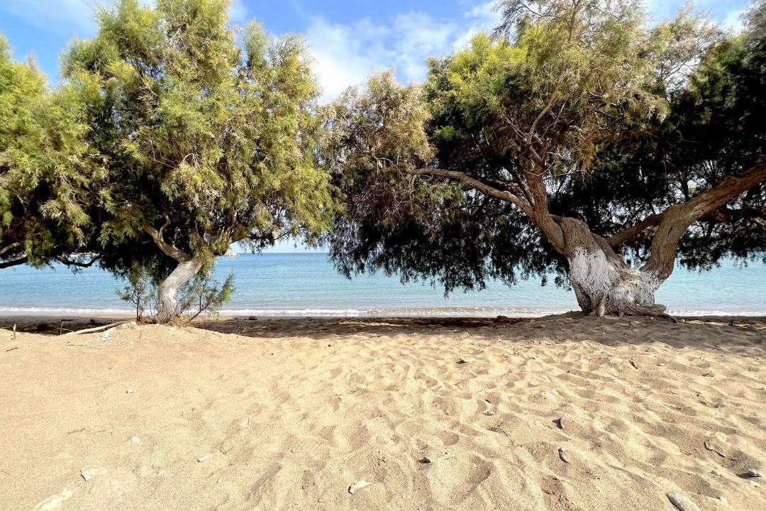 Photo of Outdoor in Vigla