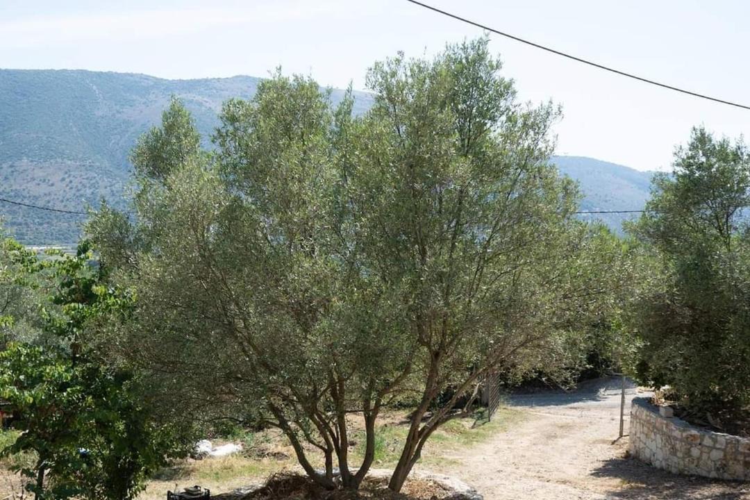 Photo of Others in Igoumenitsa